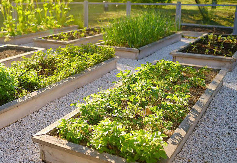 Garden bed